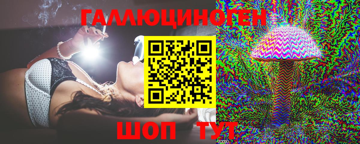 Псилоцибиновые грибы Cubensis  Вход с VPN  Димитровград 