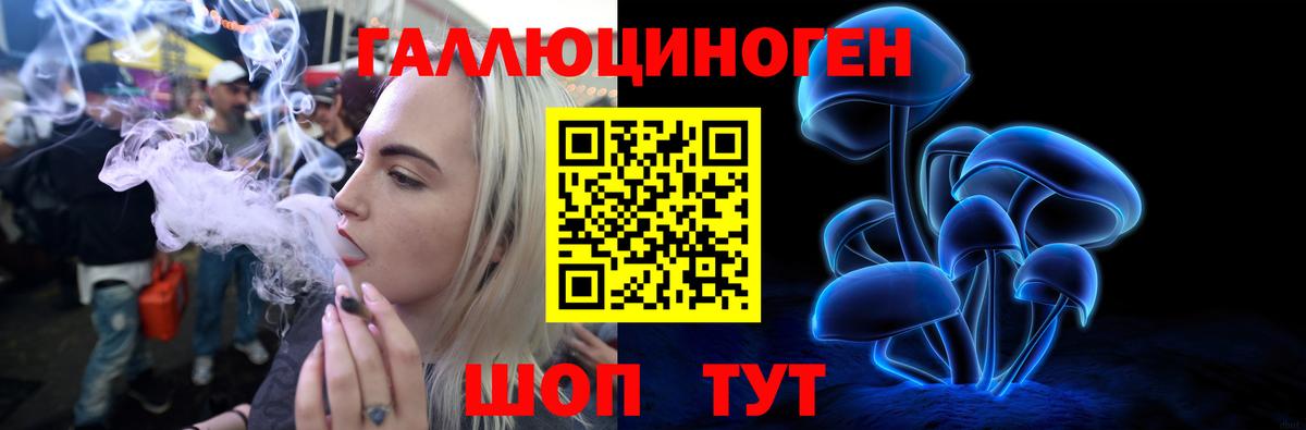 Галлюциногенные грибы ЛСД Димитровград